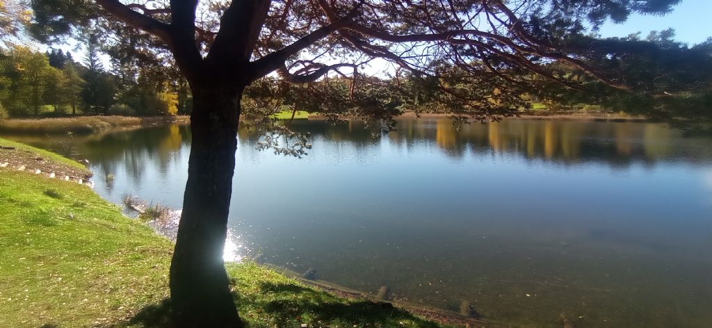 Laghi.......del TRENTINO